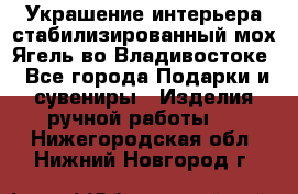 Украшение интерьера стабилизированный мох Ягель во Владивостоке - Все города Подарки и сувениры » Изделия ручной работы   . Нижегородская обл.,Нижний Новгород г.